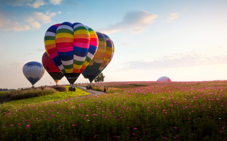 kolorowe balony na tle zachodu słońca